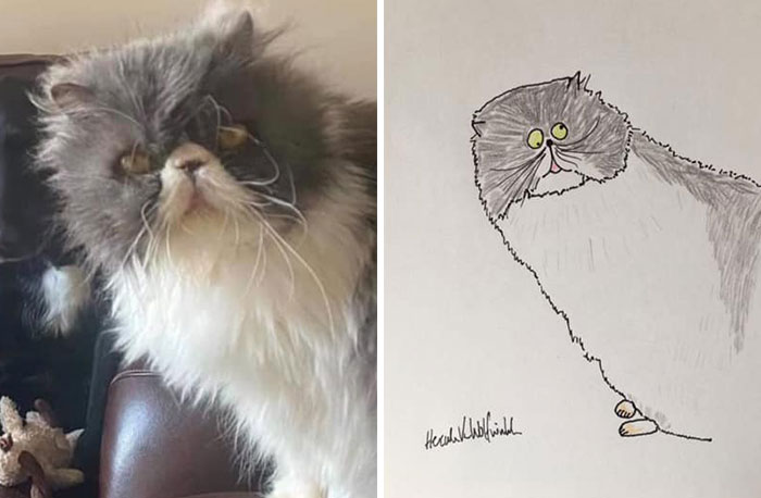 29 Animal Portraits Drawn So Badly, They Look Like Masterpieces