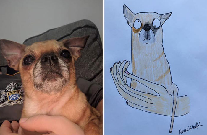 29 Animal Portraits Drawn So Badly, They Look Like Masterpieces