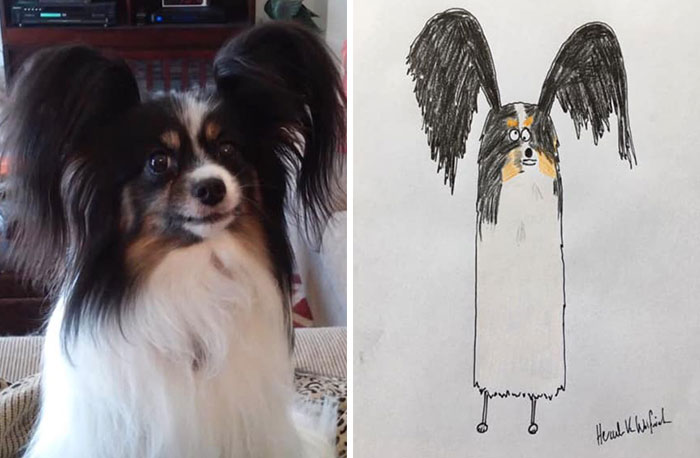 29 Animal Portraits Drawn So Badly, They Look Like Masterpieces