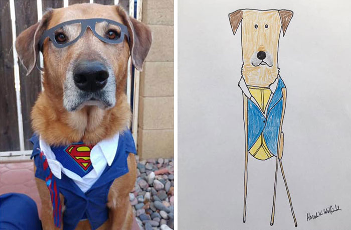 29 Animal Portraits Drawn So Badly, They Look Like Masterpieces