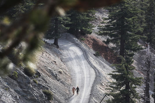 The hikers were found on Mount Baldy, known as one of the deadliest peaks in the country (Mario Tama/Getty Images)