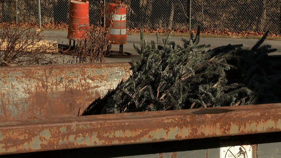 Haywood County offers free Christmas tree recycling through January