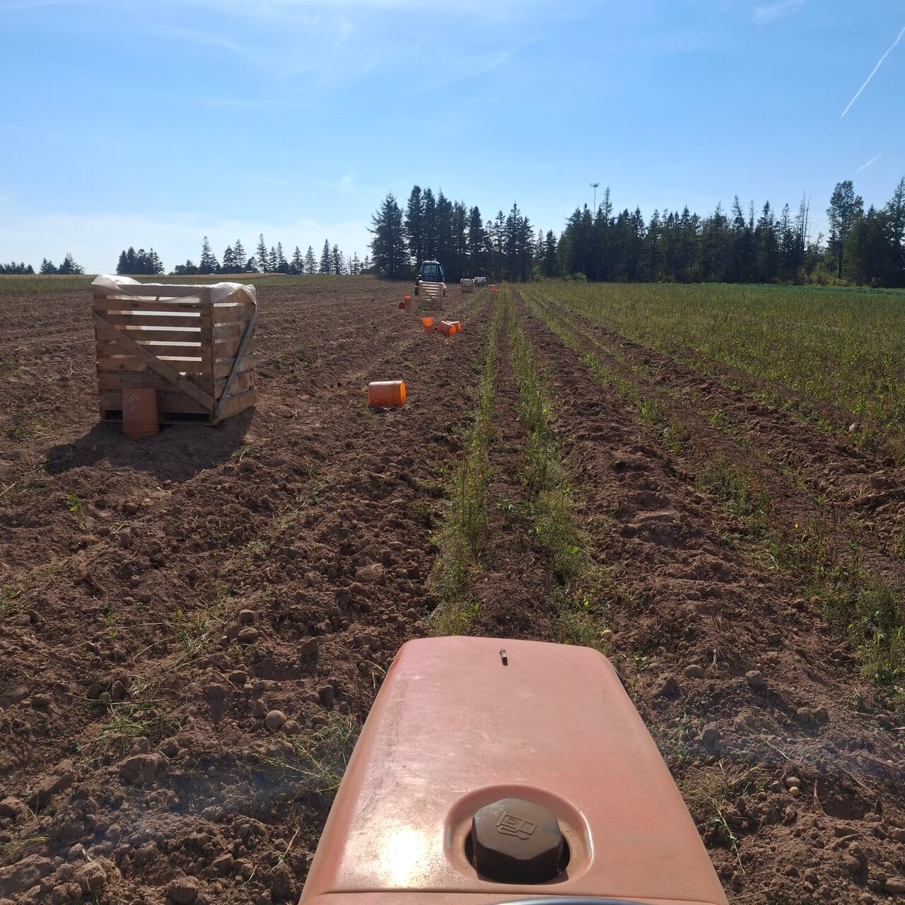 Maritime farmers assess damage from summer drought, look to next year