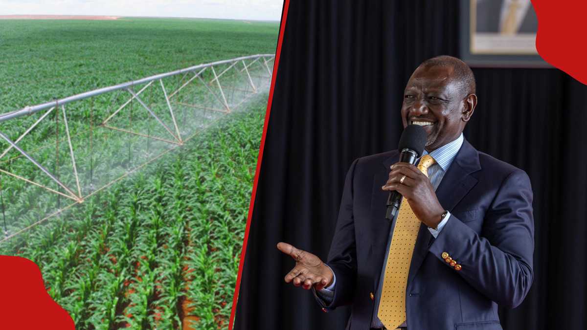 Kenya signs KSh 40b deal to construct Galana Kulalu Dam to irrigate ...