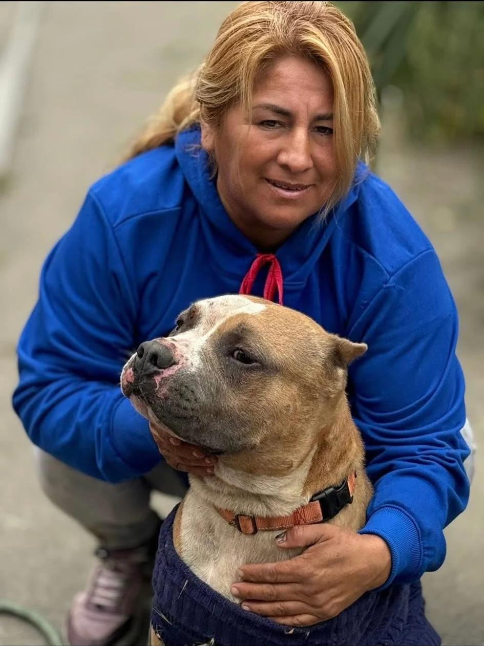 5-Things You Should Never Say to Me About My Dogs | Shoe: Untied, image size:768x1026