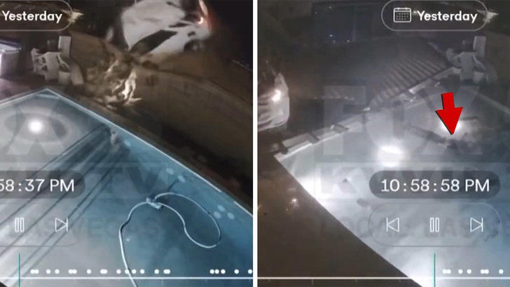 Airborne car crashes into yard, driver plunges into pool, on video