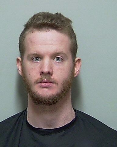 Man arrested in Putnam County after video shows sexual abuse of dog