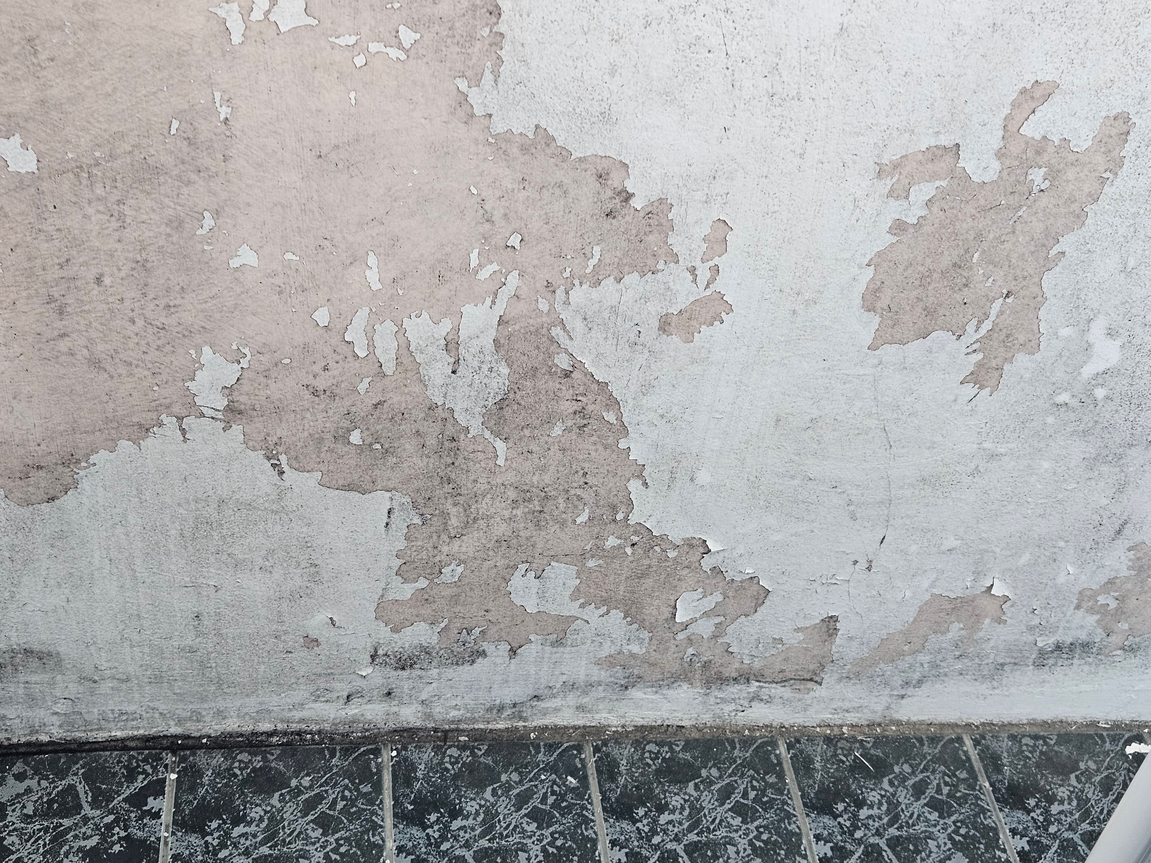 Photo inspiration: Gallery Detail: Ceiling Leaks Lifted Tiles Highlight Substandard Renovation Issues