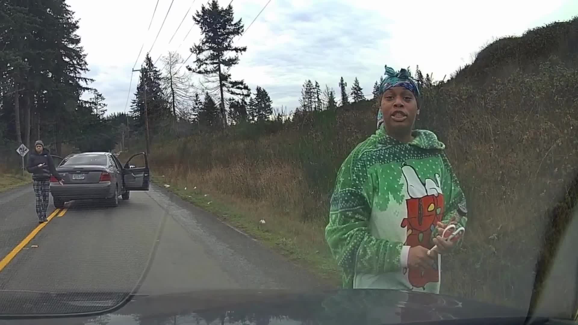 Help Pierce Co. deputies ID a festive road-rage suspect accused of ...