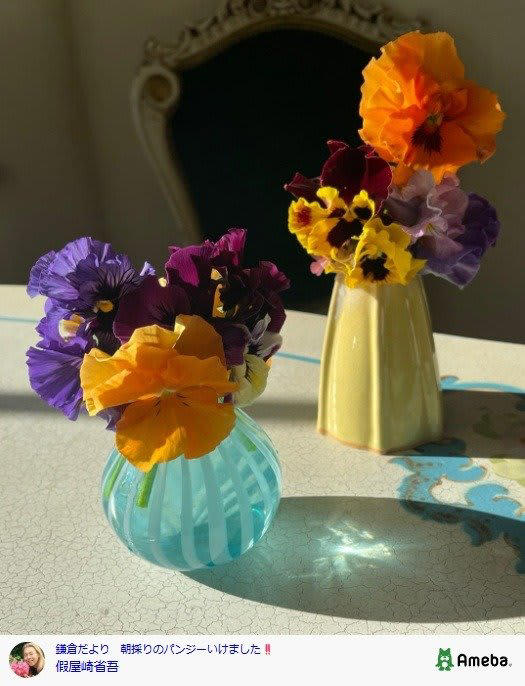 假屋崎省吾 鎌倉の洋館自宅＆花まみれの庭を紹介「素晴らしい暮らし