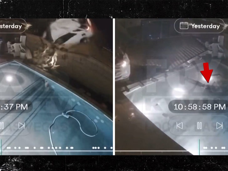 Airborne car crashes into yard, driver plunges into pool, on video
