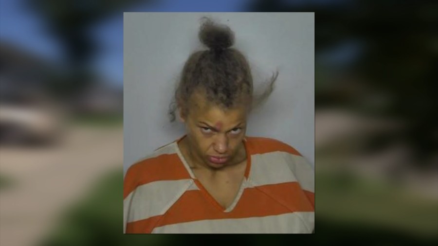 Woman pleads guilty to attacking landlord in Bismarck