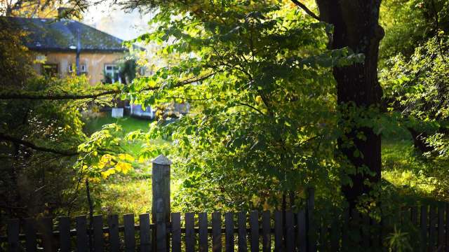 Renter distraught as thoughtless neighbor creates dangerous situation ...