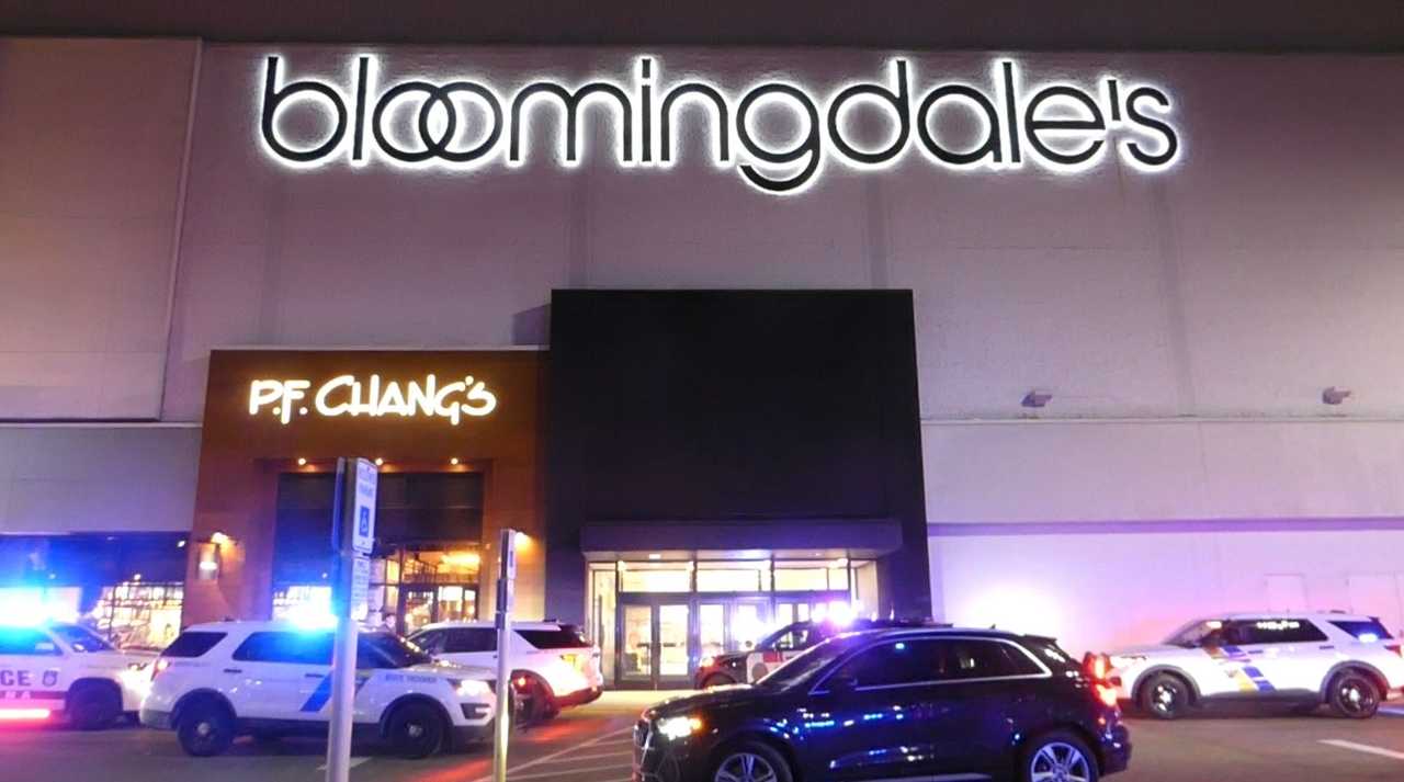Three in custody following fight, shot fired at Willowbrook Mall: cops
