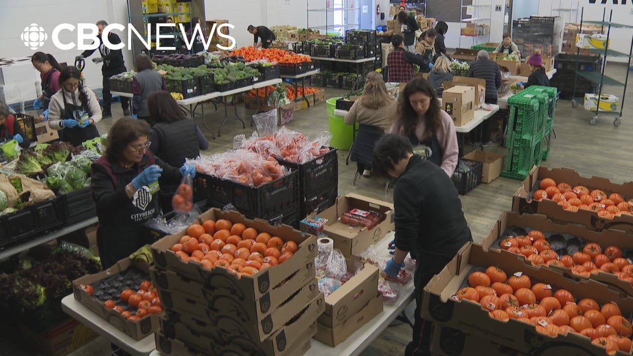 Food bank helps keep surplus fruit from landfills and turns them into ...