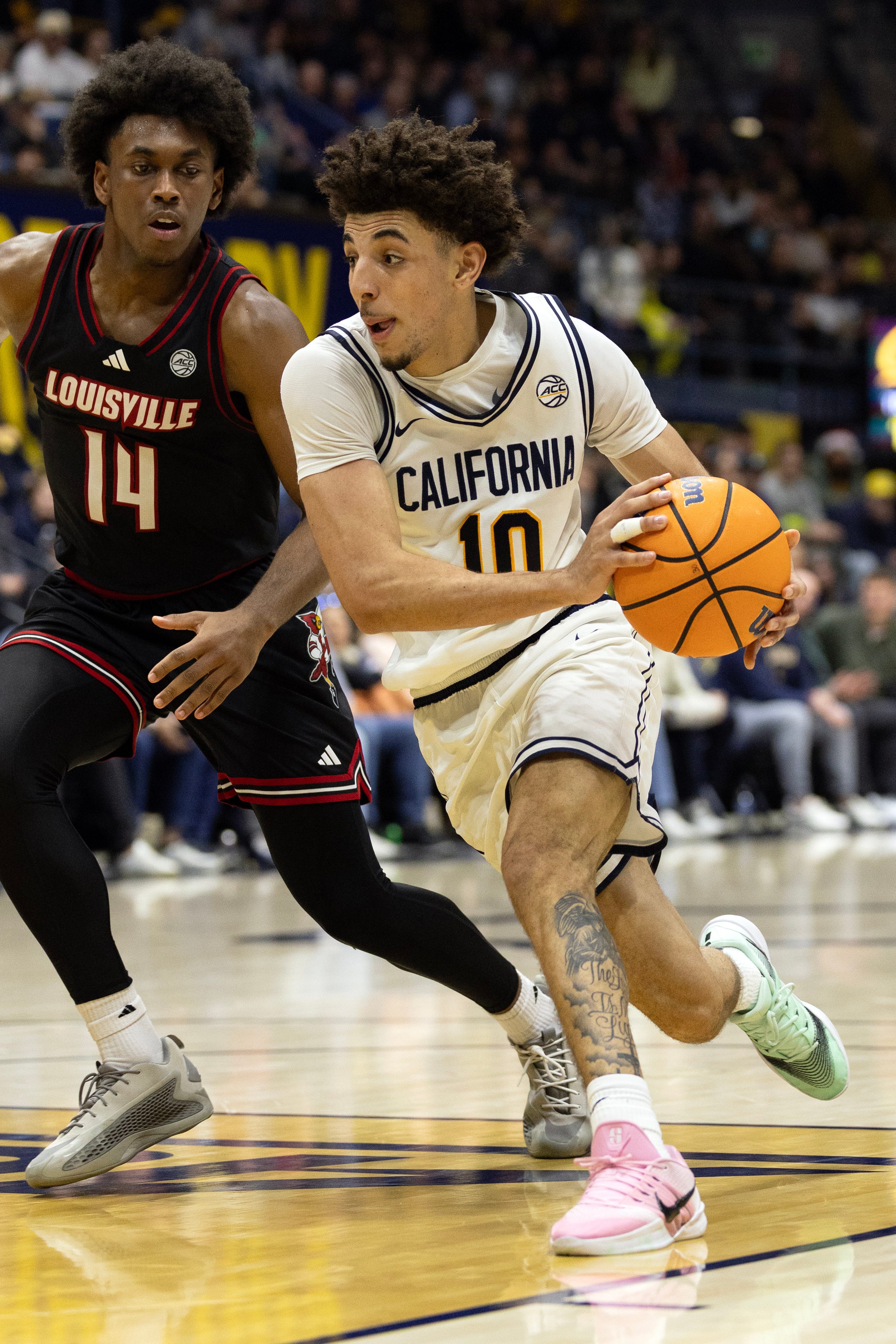 4 thoughts on Ohio State adding transfers Justin Pippen, Andrija Jelavic