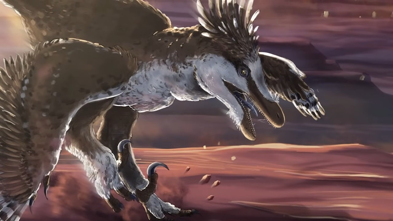 The Mesozoic raptors engineered for perfect pack hunting