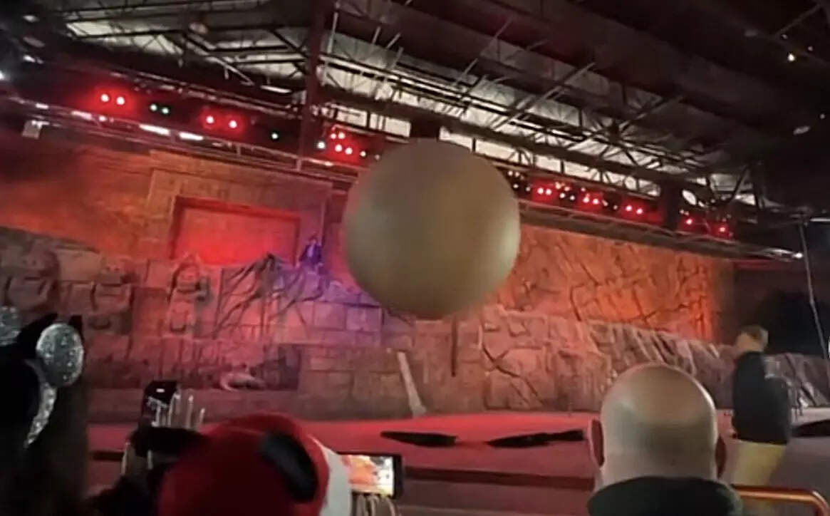 Watch video: Disney cast member hurt protecting guests from 400-pound ...