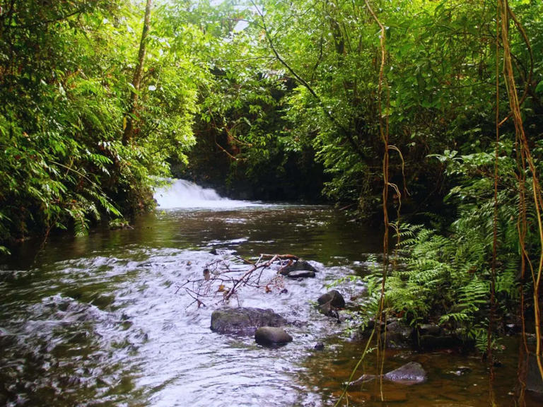 This rare river changes colour every year and is situated in this part ...