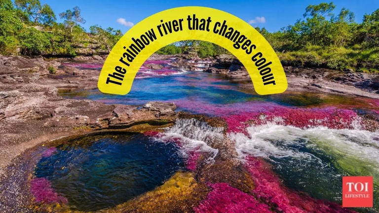 This rare river changes colour every year and is situated in this part ...
