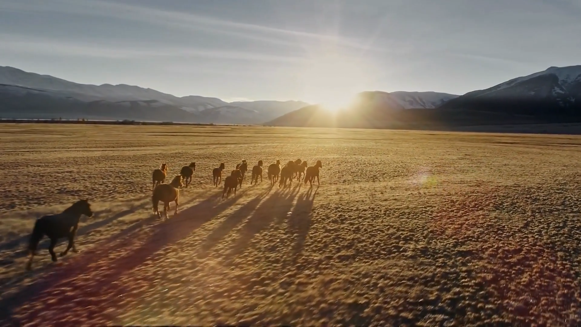 How Earth changed before humans took over