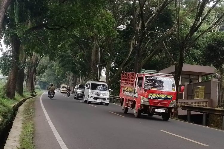Waspadai Bahaya Longsor dan Pohon Tumbang di Jalur Wisata Pansela Cianjur