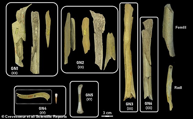 Our ancestors were cannibals: Scientists find evidence ancient human ...