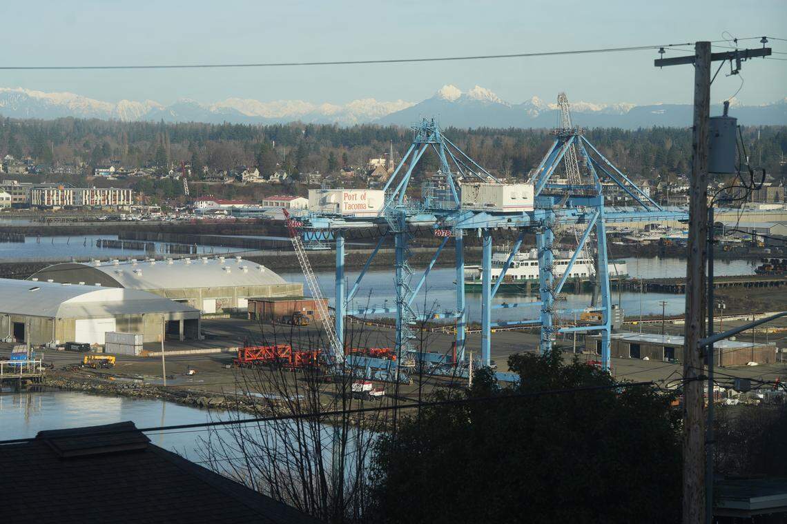 Have you seen those large cranes at Bellingham