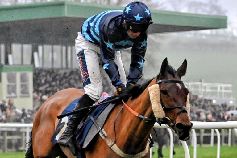 Borders jockeys Bruce Lynn and Ryan Mania among winners at Kelso’s last ...