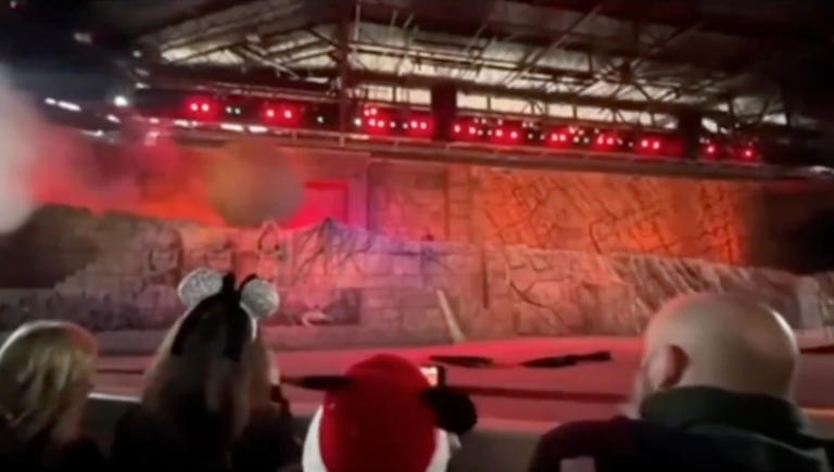 Runaway Indiana Jones boulder pummels hero Disney World worker
