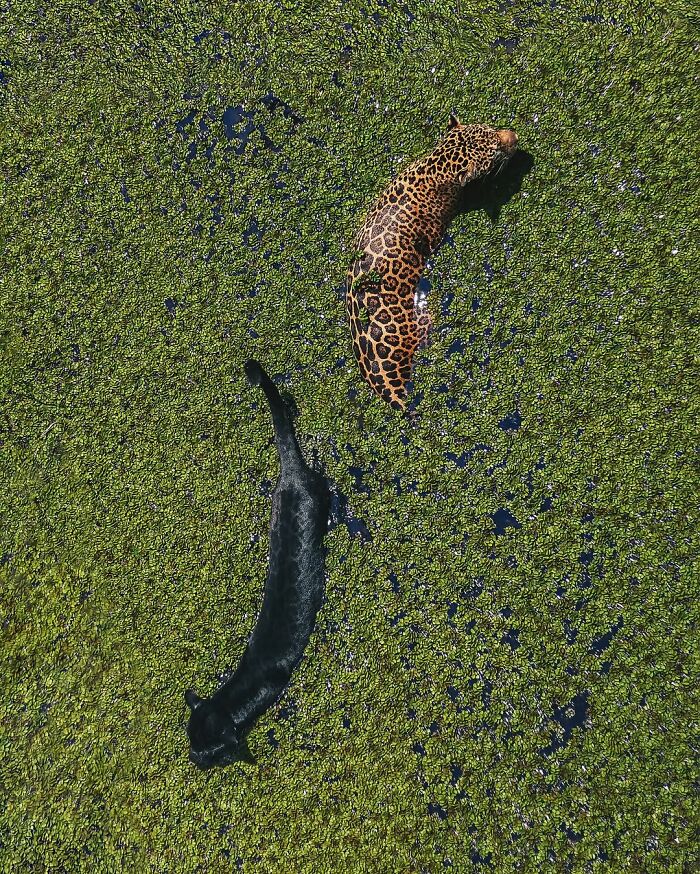 If You’re Curious About The World, Here Are 75 Facts And Photos From “Spill Now”