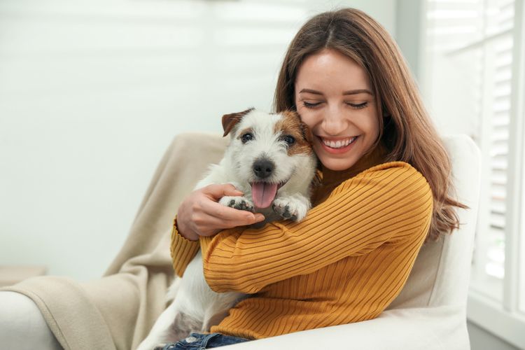 6 alasan anjing memandang pemiliknya