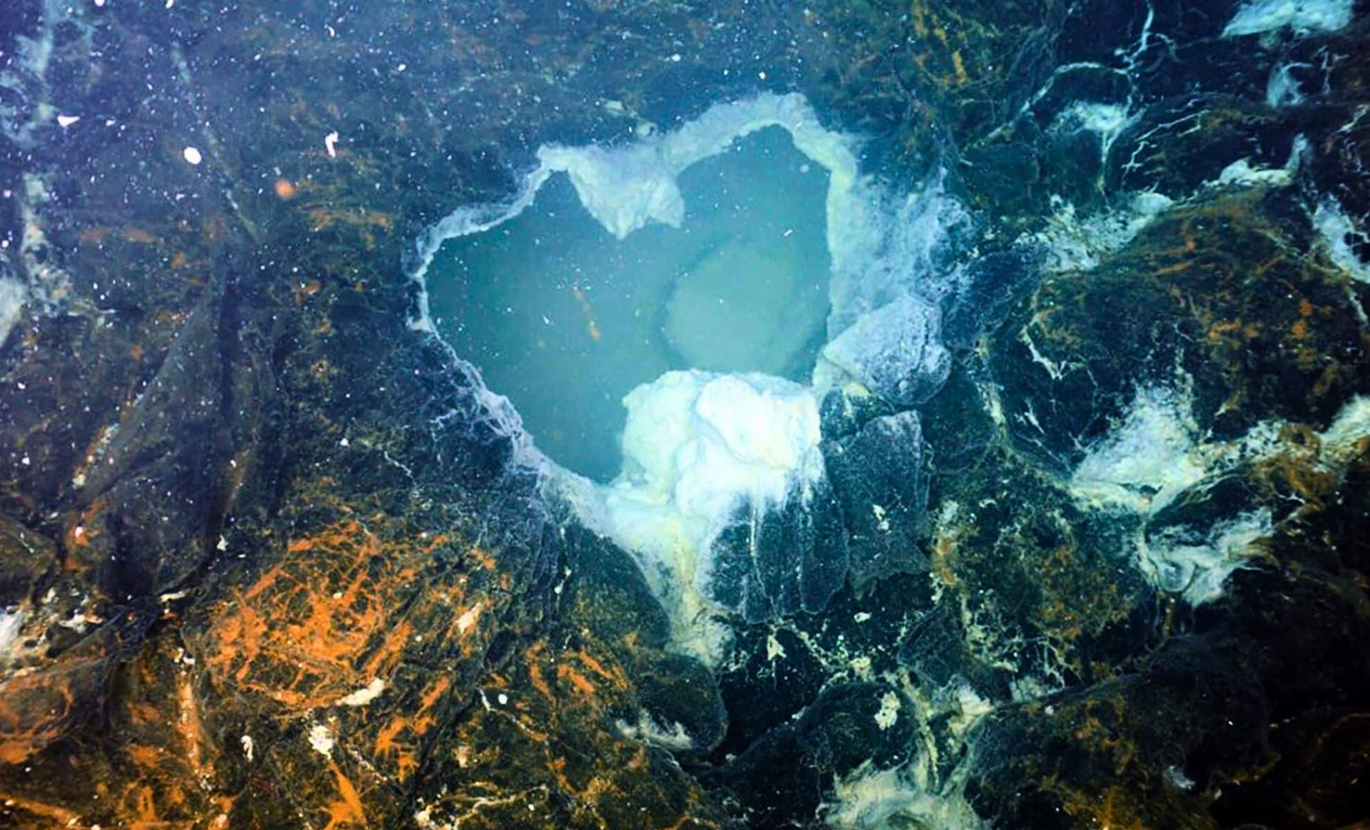 An underwater volcano off Oregon didn’t erupt in 2025: Scientists are ...
