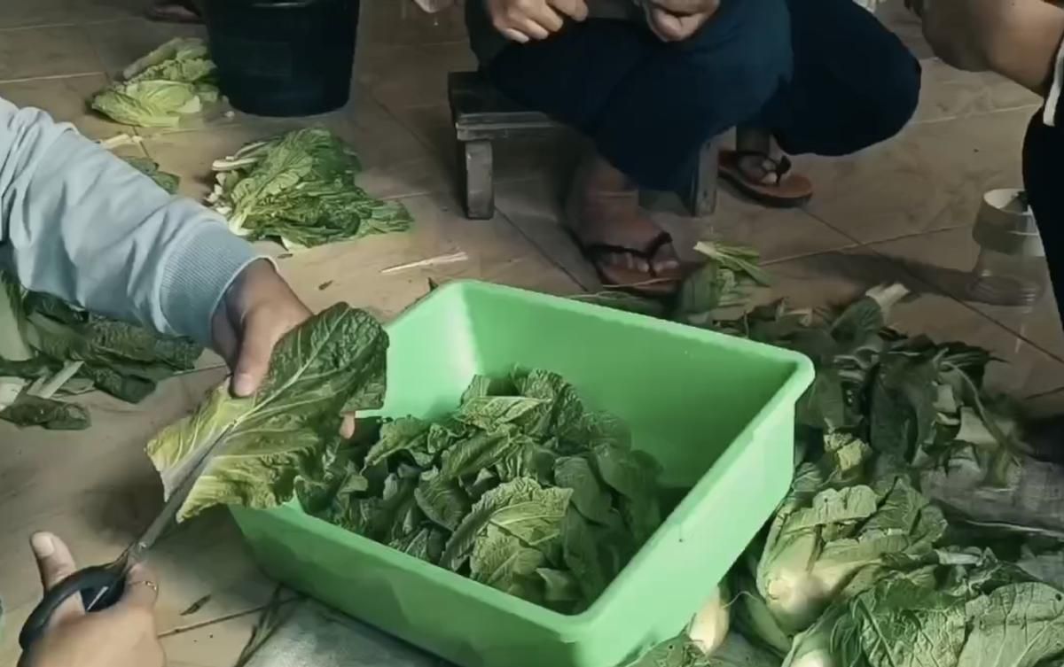 Kisah bisnis: Sawi terbuang jadi cemilan untungkan