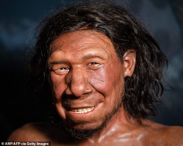Our ancestors were cannibals: Scientists find evidence ancient human ...
