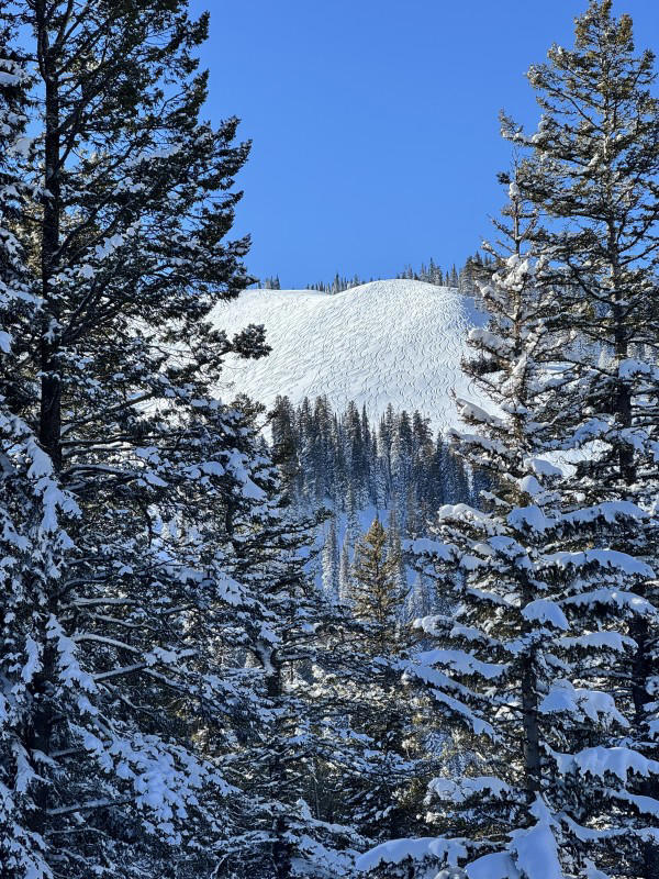 POWDER gear editor Max Ritter's predictions for 2026