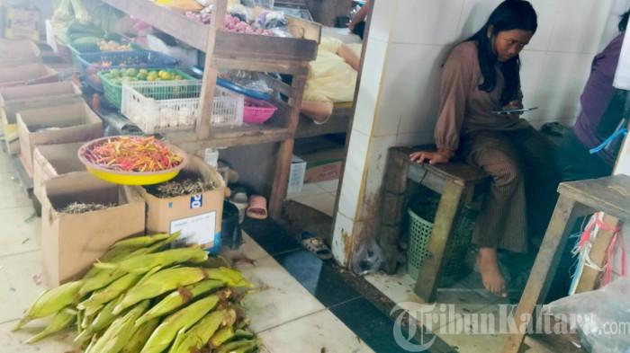Tradisi Bakar-Bakar Tahun Baru Bawa Berkah, Petani Jagung Tana Tidung Panen Rezeki