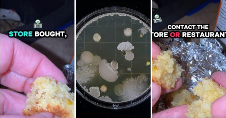 ‘I want to show you what rope spoilage looks like.’ – Your baked goods ...