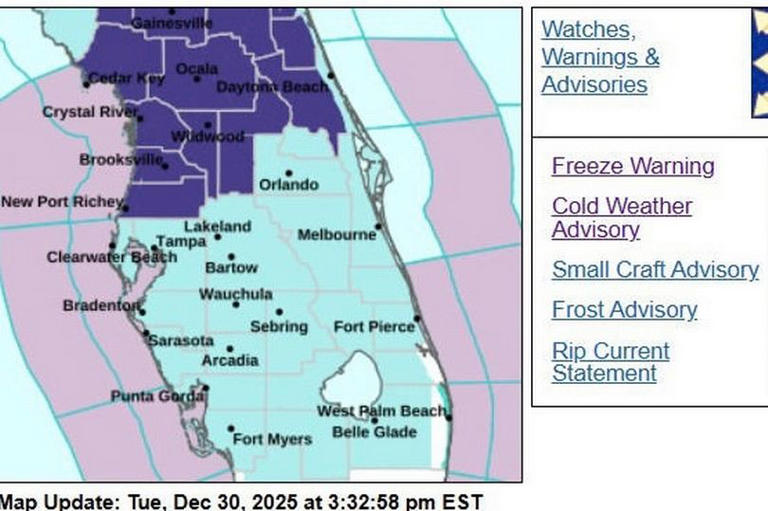 Florida freeze warning in effect as rare cold snap brings brutal ...