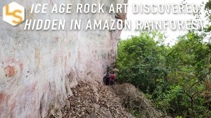 Ice Age rock art discovered hidden in Amazon rainforest