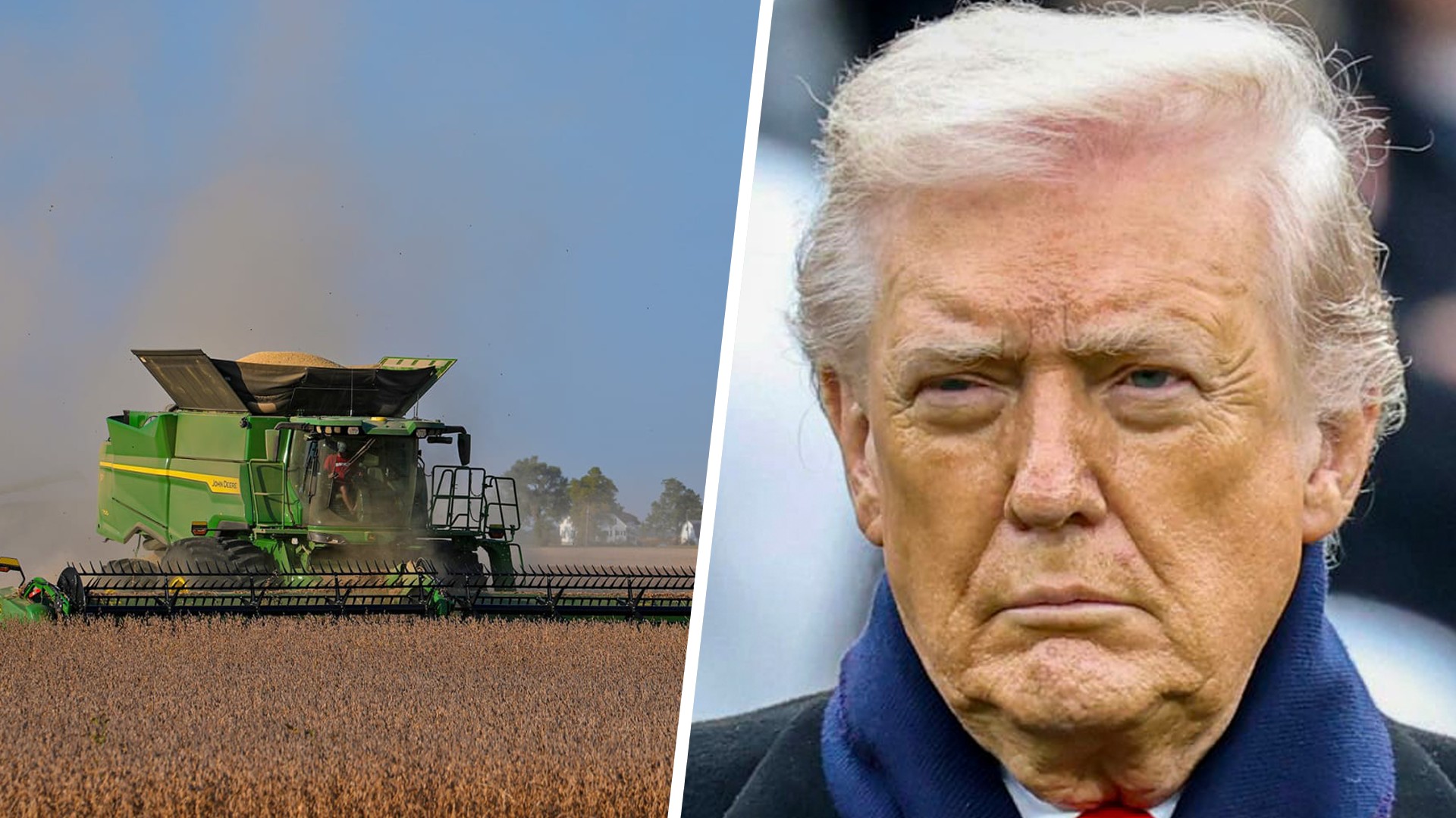 Soybean farmer blasts impact of Trump's economic policies on agriculture