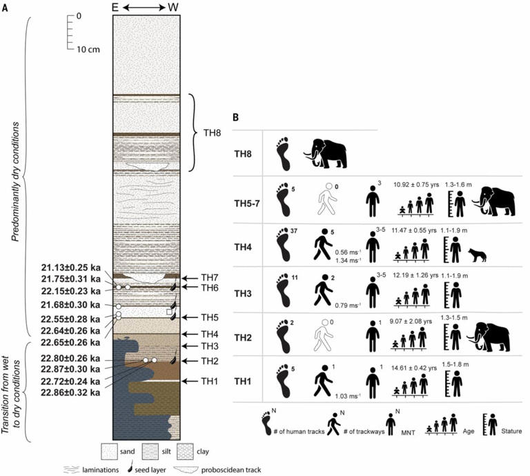 Scientists discover oldest human footprints in New Mexico, and the ...