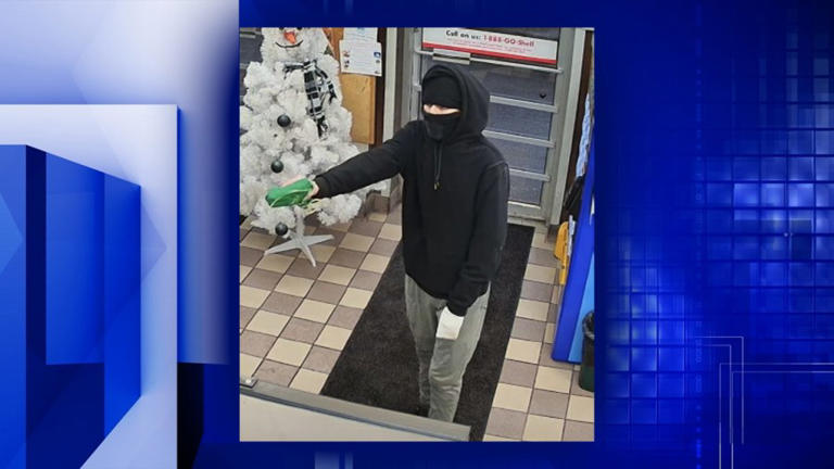 Lee County sheriff seeks info on Amboy attempted robbery