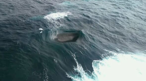 Surfers awed by Australian waves 'that shouldn't exist' in unbelievable ...