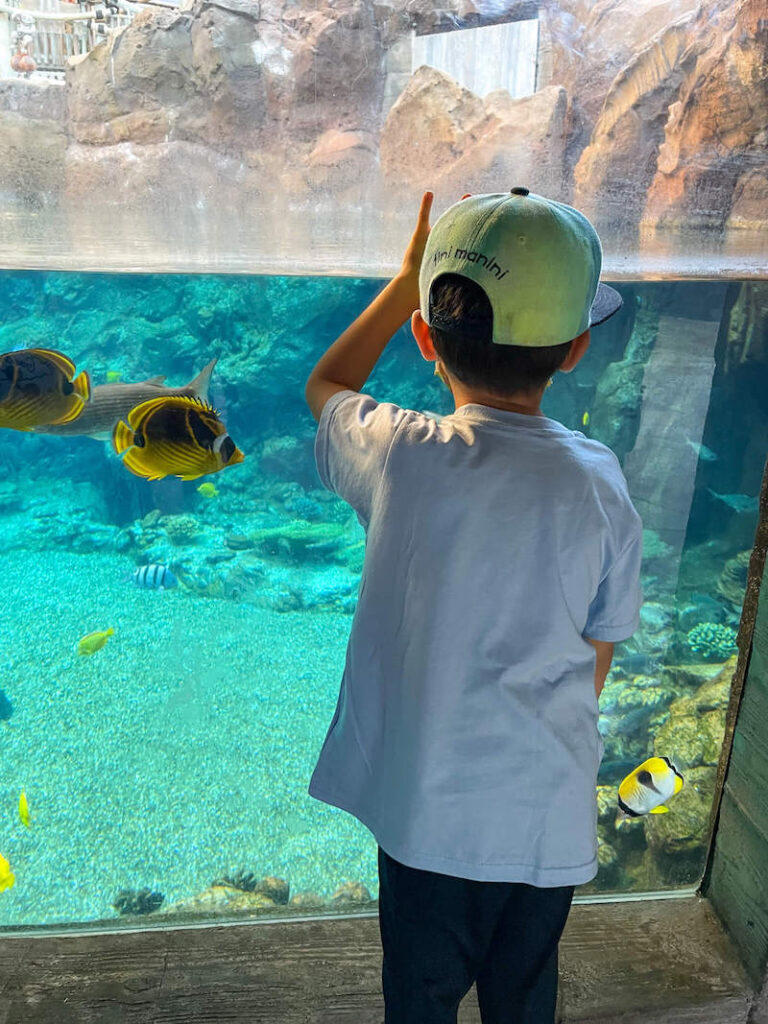 Why Aulani is the only hotel your kids will beg to return to