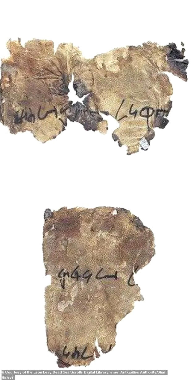 Mysterious Dead Sea Scrolls code finally cracked revealing 2,000-year ...