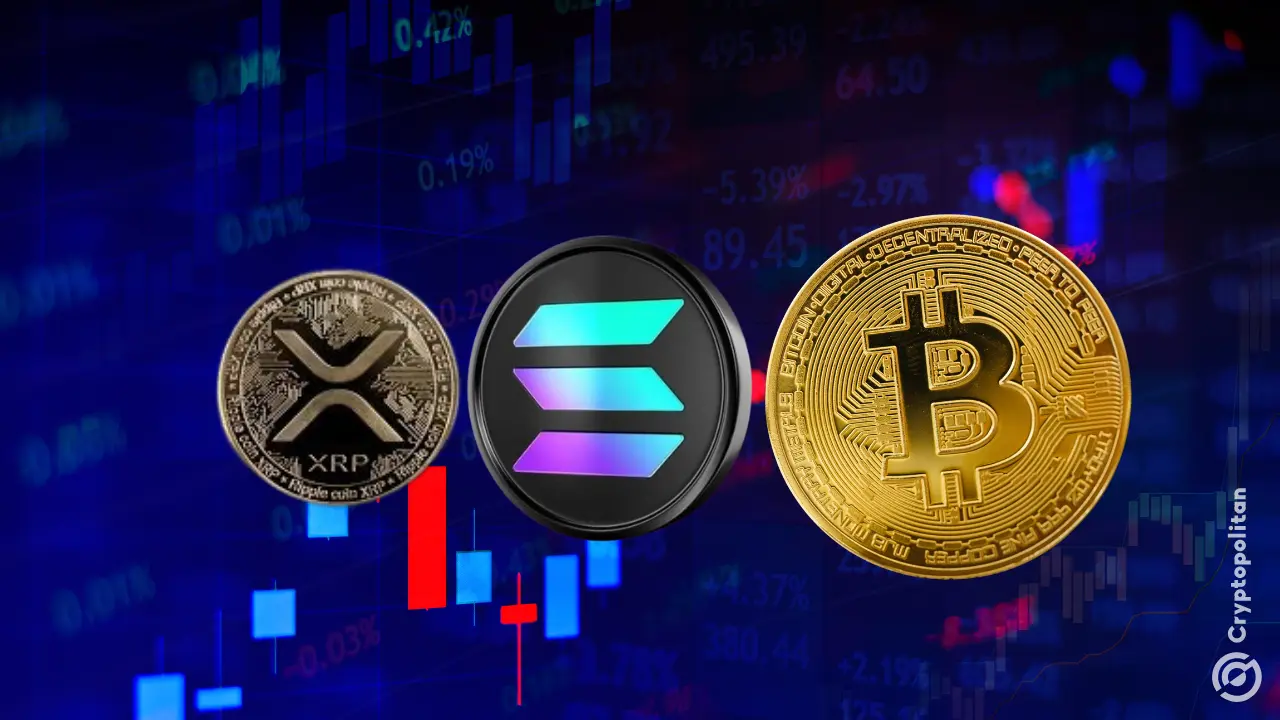 XRP and Solana trade at nearly double Bitcoin’s volatility this year