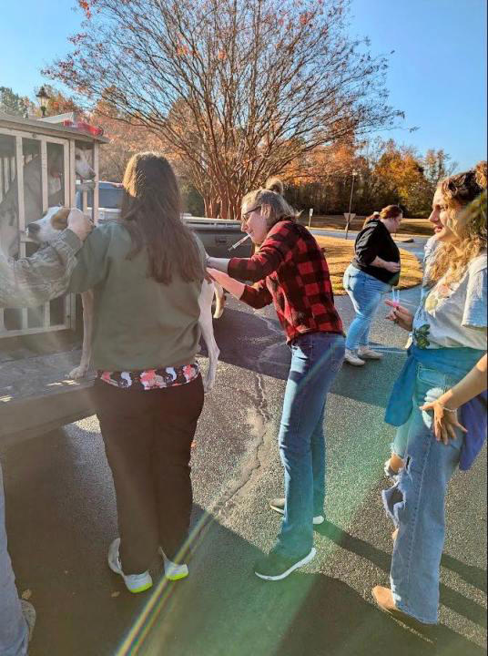 Photos: Over 300 pets vaccinated during King William rabies clinic