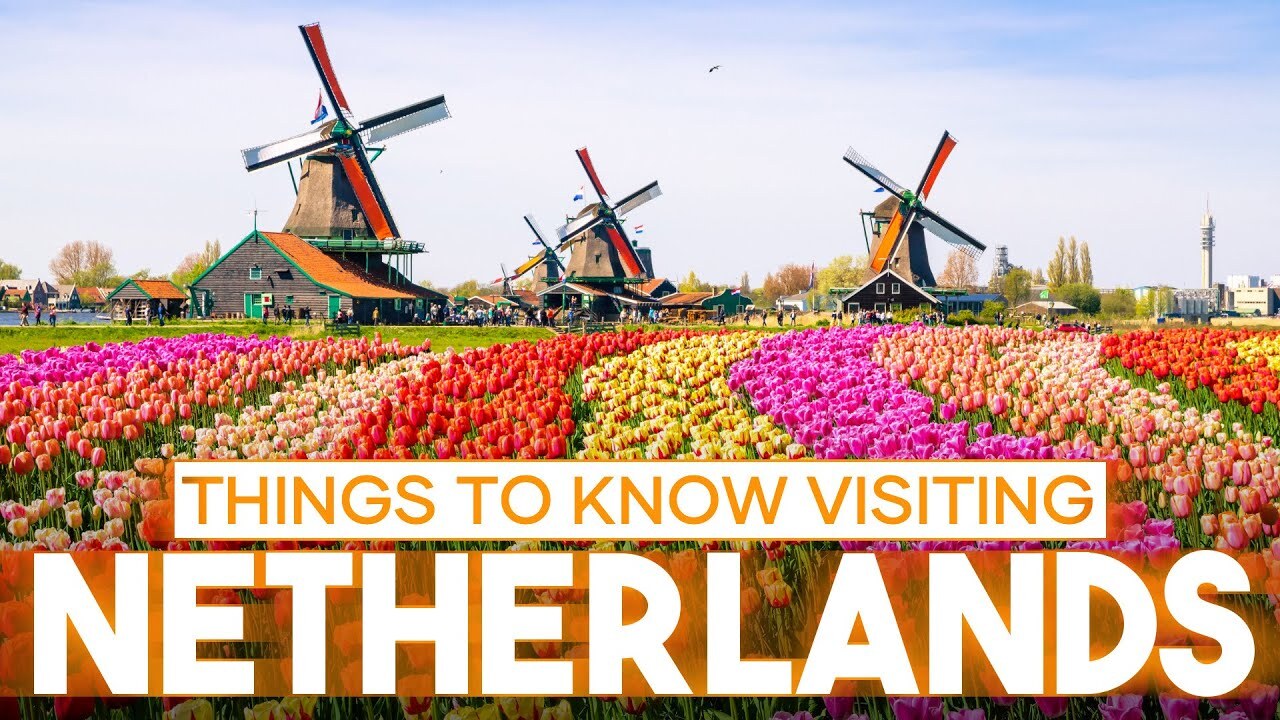 Netherlands travel guide: Everything you need to know about Netherlands