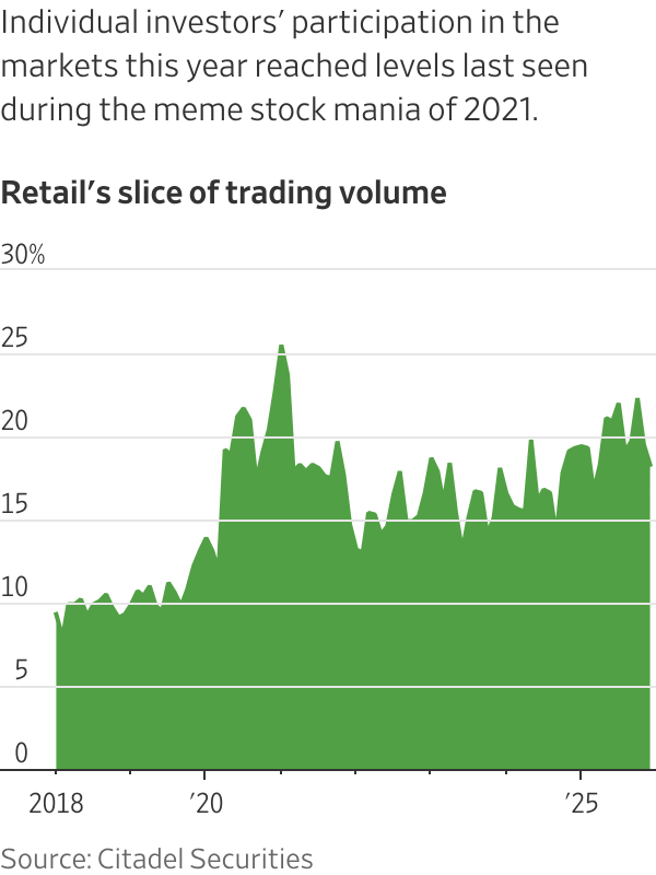 Individual investors' participation in the markets this year reached levels last seen during the meme stock mania of 2021.